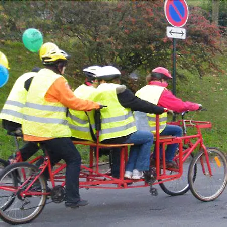 Chalet-hotel Neige Et Roc, The Originals Relais 4*